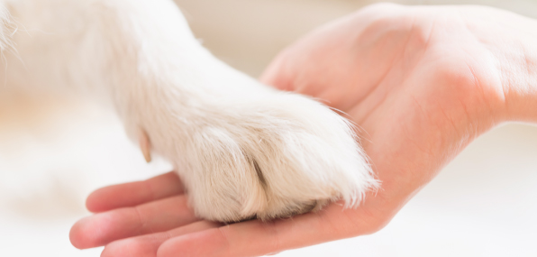 5-toe-paw-print-3