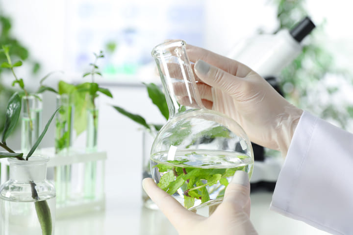 innovative product development